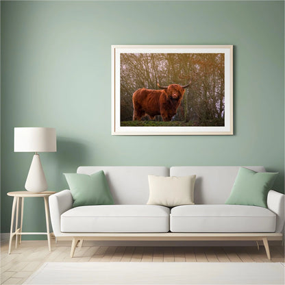 Diamond Painting Szkocki wyżłobek - Szkocki wyżłobek w wieczornym słońcu - SEOS Shop ®