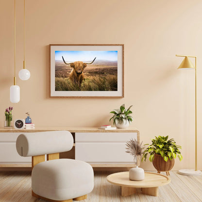 Diamond Painting Szkocki wyżłówek - Szkocki wyżłówek na polu patrzy w kamerę - SEOS Shop ®