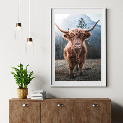 Diamond Painting Szkocki Highlander - Szkocki Highlander na zamrożonej łące w włoskich górach - SEOS Shop ®