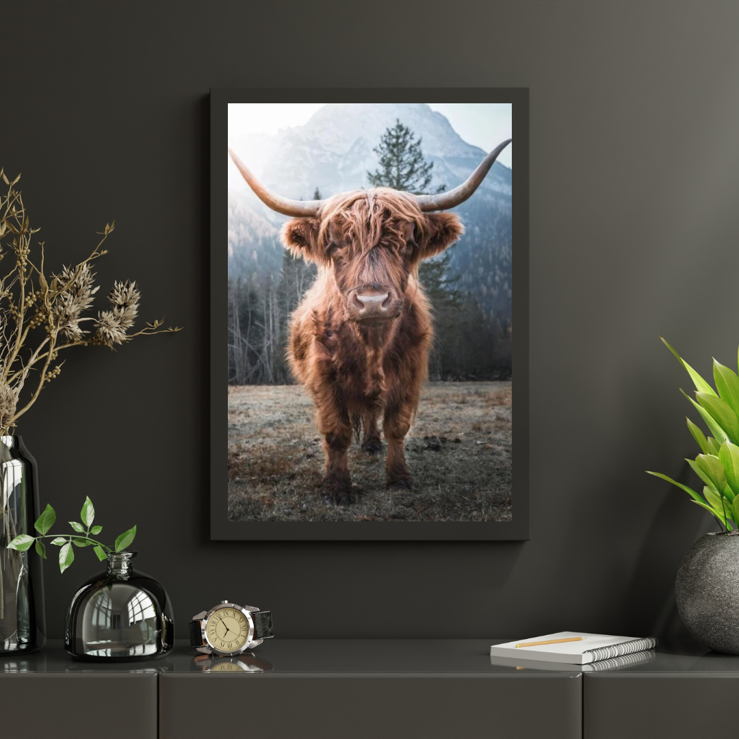 Diamond Painting Szkocki Highlander - Szkocki Highlander na zamrożonej łące w włoskich górach - SEOS Shop ®
