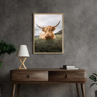 Diamond Painting Szkocki highlander - Odważny szkocki highlander odpoczywający na równinie - SEOS Shop ®