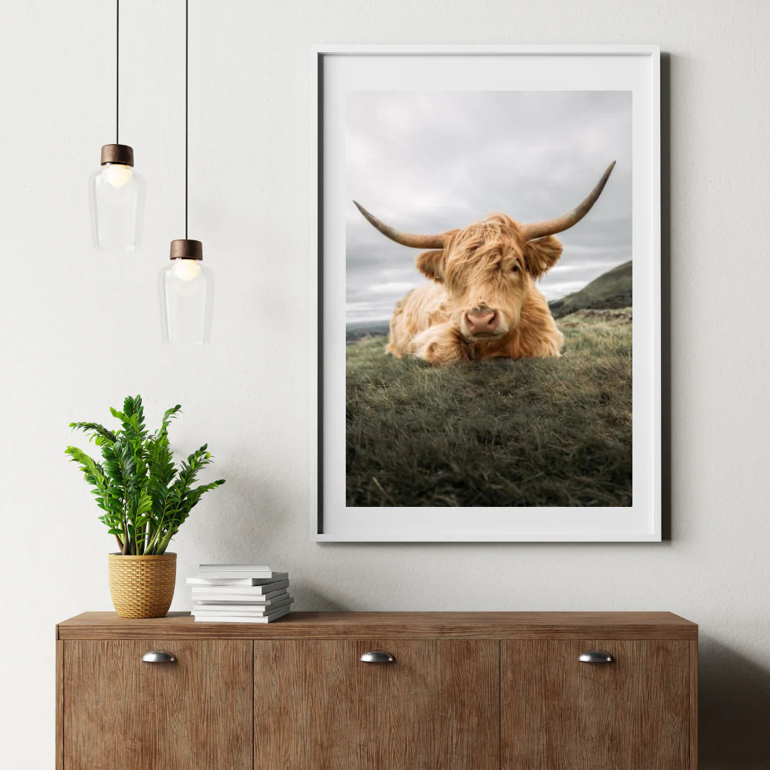 Diamond Painting Szkocki highlander - Odważny szkocki highlander odpoczywający na równinie - SEOS Shop ®