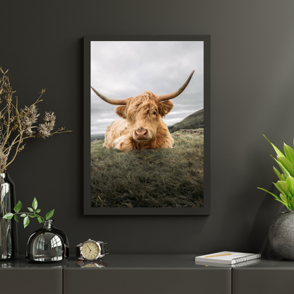 Diamond Painting Szkocki highlander - Odważny szkocki highlander odpoczywający na równinie - SEOS Shop ®