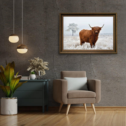 Diamond Painting Szkocki Highlander - Wełnisty Szkocki Highlander na zimowej łące - SEOS Shop ®