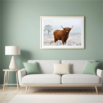 Diamond Painting Szkocki Highlander - Wełnisty Szkocki Highlander na zimowej łące - SEOS Shop ®