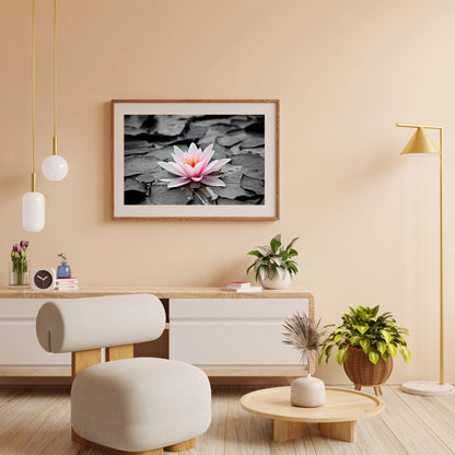 Diamond Painting Czarnobiały z różową liliją wodną – SEOS Shop ®