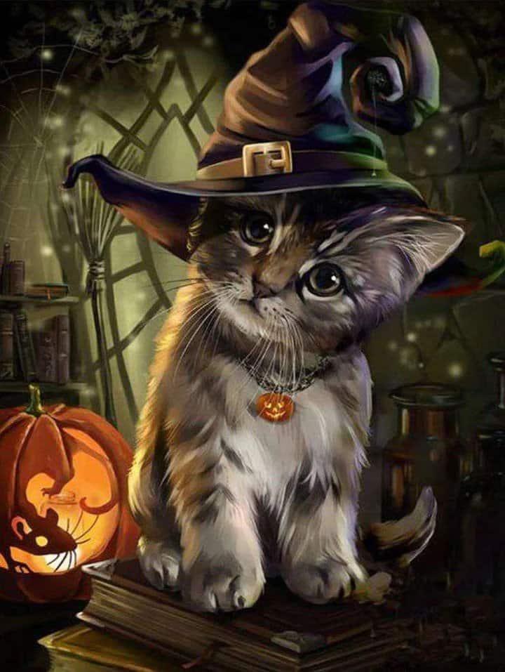 Diamond Painting Kot Halloween - SEOS Shop ®