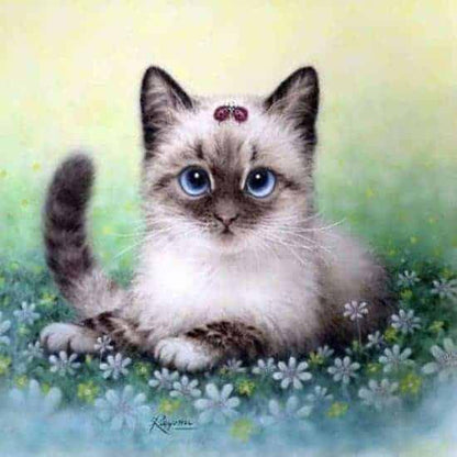 Diamond Painting Zestaw Kotek - SEOS Shop ®