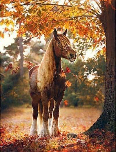 Diamond Painting Koń pod drzewem - SEOS Shop ®
