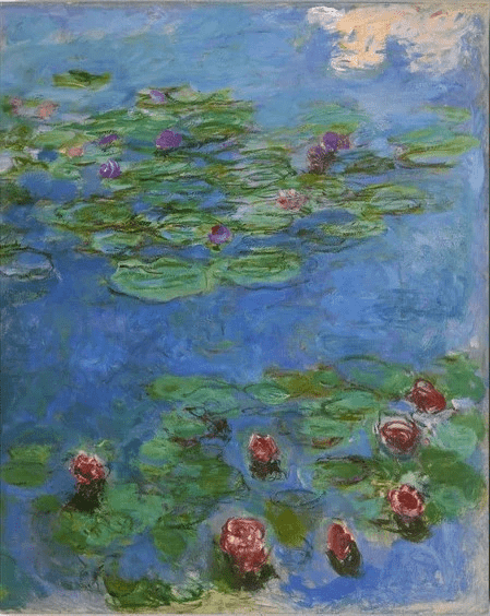 Diamond Painting Czerwone lwy wodne - SEOS Shop ®