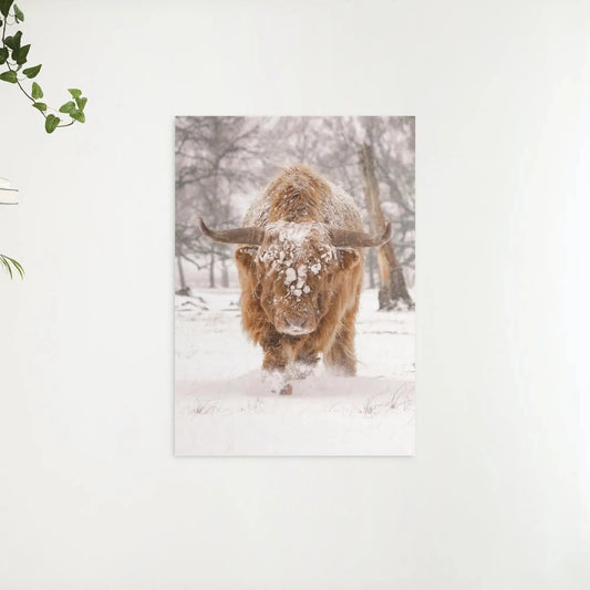 Diamond Painting Szkocki wysoki - Szkocki wysoki w naturalnym zimowym krajobrazie - SEOS Shop ®