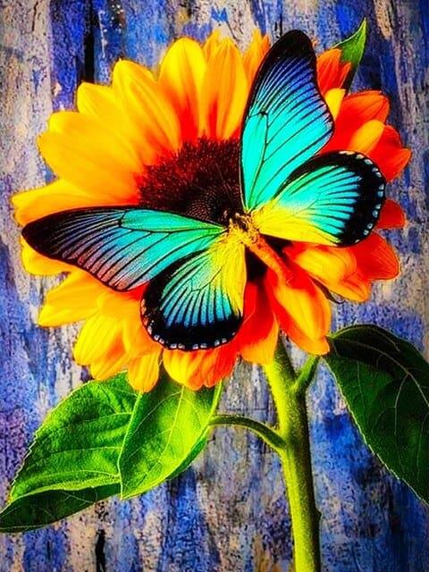 Diamond Painting Motyl z Słonecznikiem - SEOS Shop ®